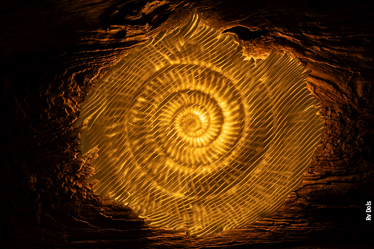 Sculpture lumineuse Stéphanie Titus