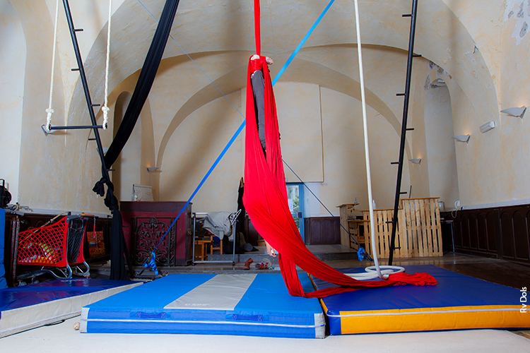 André Debru oeilpaca