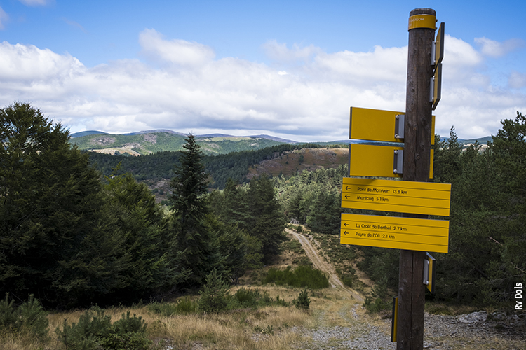 Chemin de randonnée dans les Cévennes