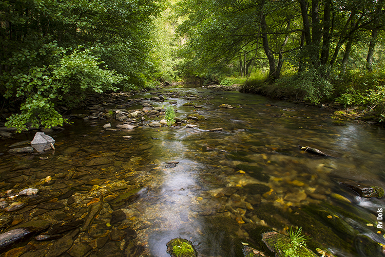 Les Cévennes Le Tarn