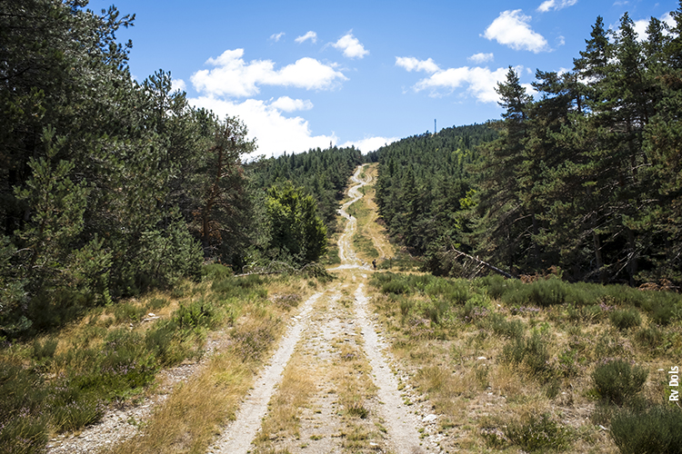 Chemin de randonnée dans les Cévennes