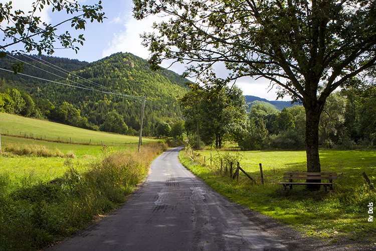 Route des Cévennes