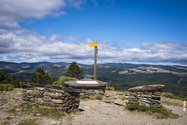 Les Cévennes exploitation forestière