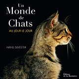 Le monde des chats