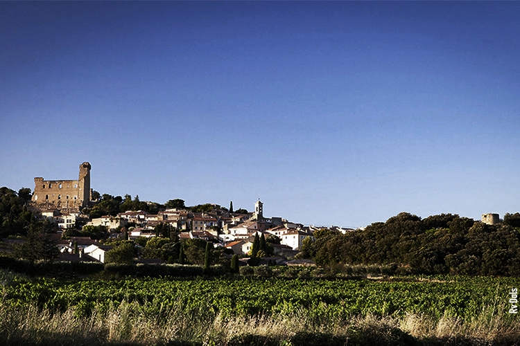 Reportage photo Châteauneuf-du-pape