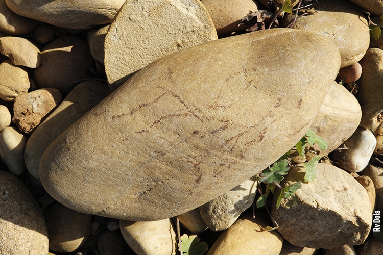 Aoc Châteauneuf-du-Pape