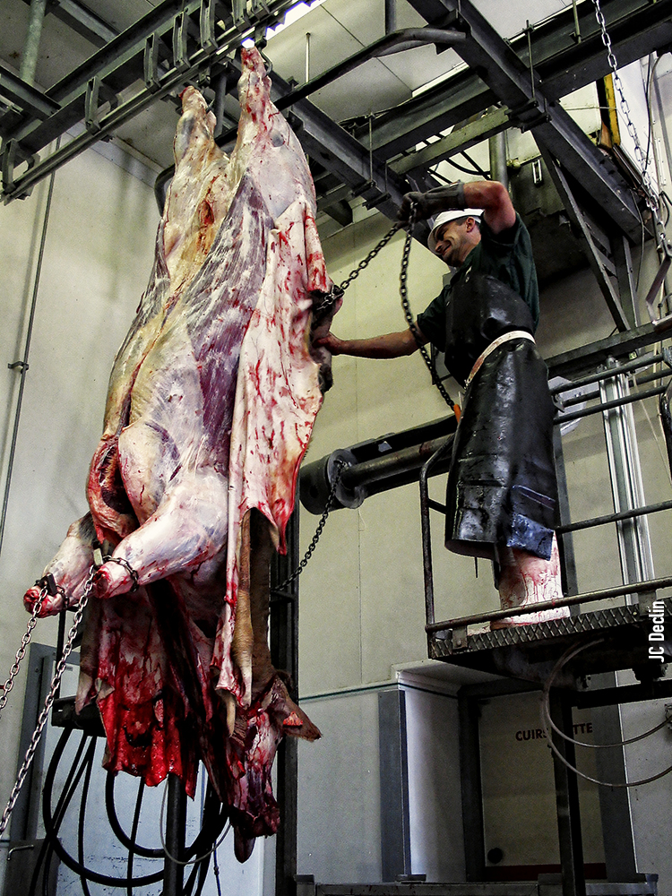 Abattoir photo oeilpaca