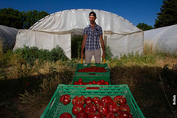 Bio Avignon Semailles