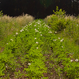 Jardin Bio Avignon