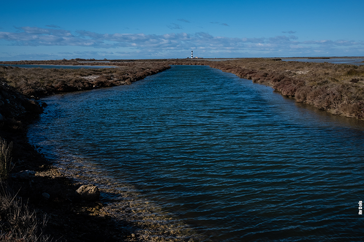 PHOTOGRAPHIE OEILPACA